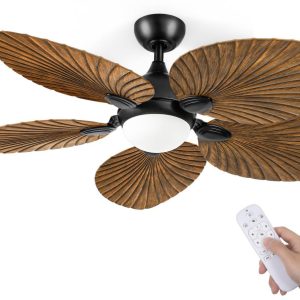 Modern Ceiling Fan with Light